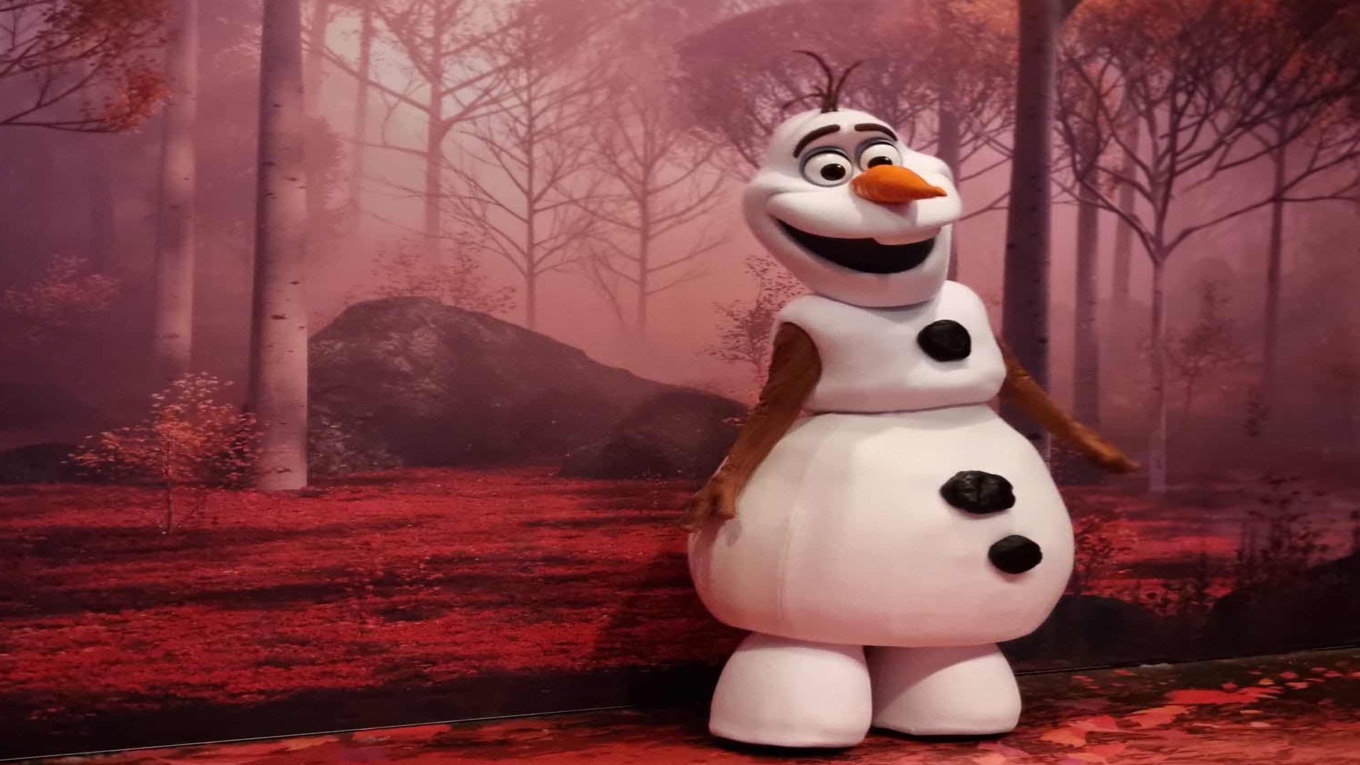 Olaf ontmoeten in Disneyland Parijs